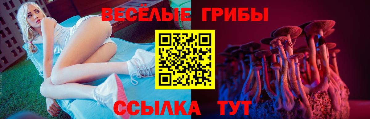 Лысьва  Псилоцибиновые грибы GOLDEN TEACHER  Вход с VPN 